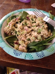 Today's Lunch: Tuna Salad over Spinach